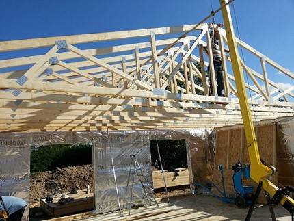 MONTAREA SARPANTEI INDUSTRIALIZATE